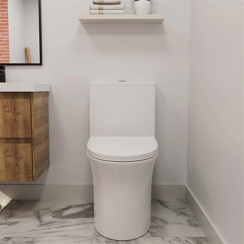GIVINGTREE Modern Dual Flush Elongated Standard One Piece Toilet with Comfortable Seat Height - Image 2
